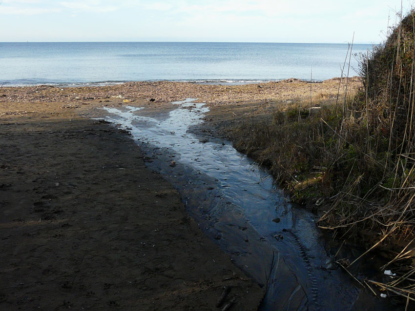 I fossi e lo stagno di Baratti (Piombino - LI)